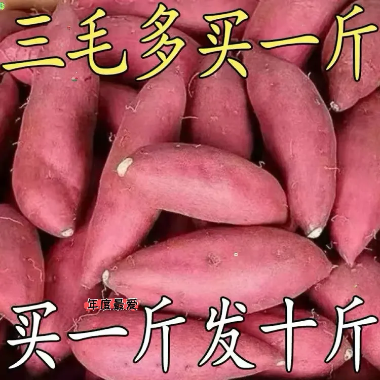 【2025新蜜薯】现挖沙地红心蜜薯超甜红薯1/5斤板栗番薯地瓜蔬菜糯