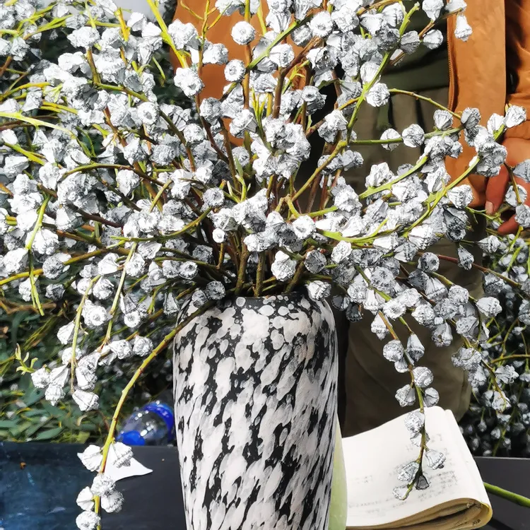 尤加利果木质清香持续三五年，可做干花好养