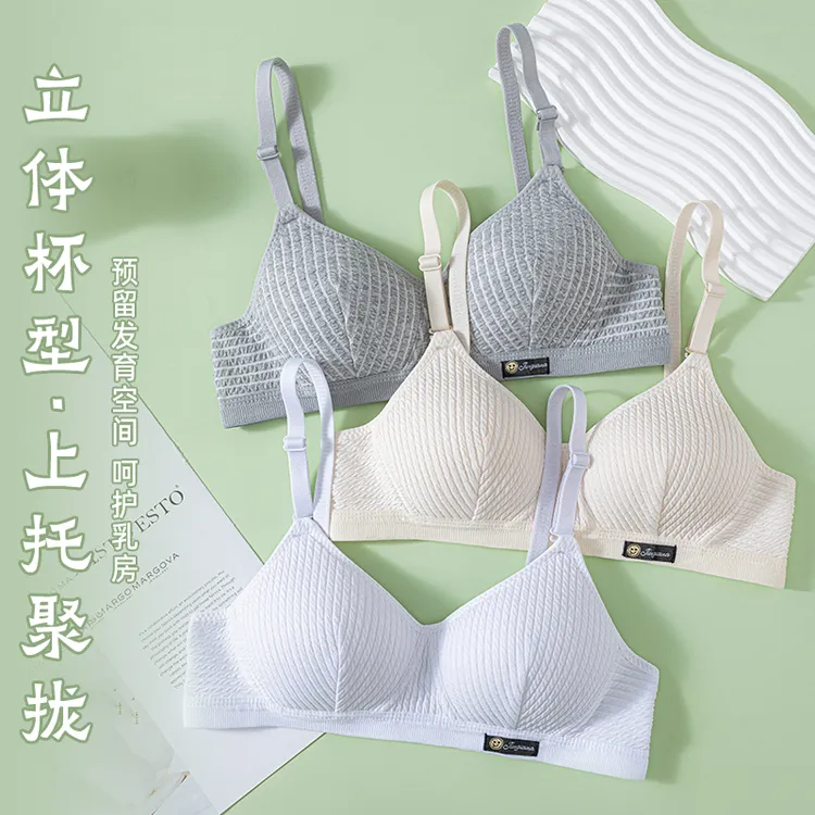 舒适内衣女学生无钢圈薄款高中生调整型少女小胸聚拢定型上托文胸