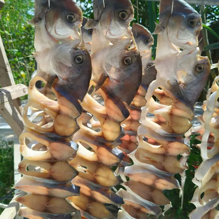 湛江特产金鲳鱼干淡晒金昌鱼干非足干海鲜干货金仓鱼干咸鱼干