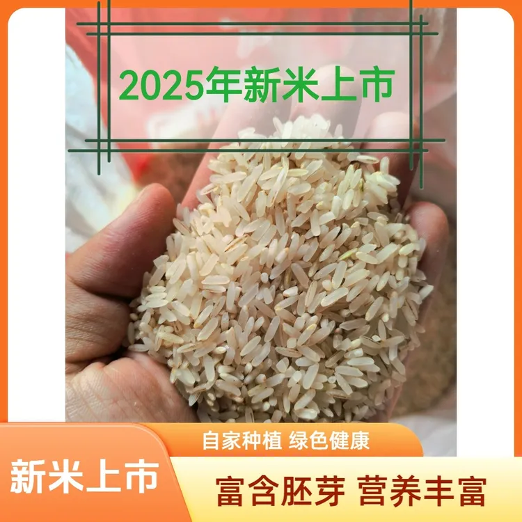 25年胚芽籼米不抛光米油多张老师推荐的长江中下游地区一年种一季