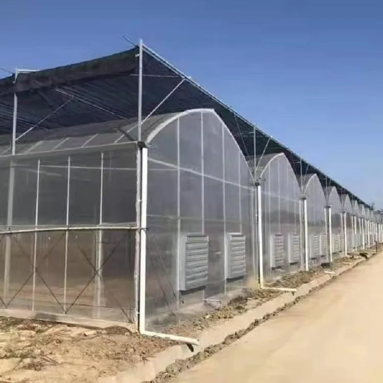 连栋棚种植棚养殖棚并腿棚暖棚全套温室大棚骨架