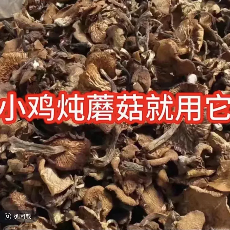 东北野生干榛蘑（自然晾晒）