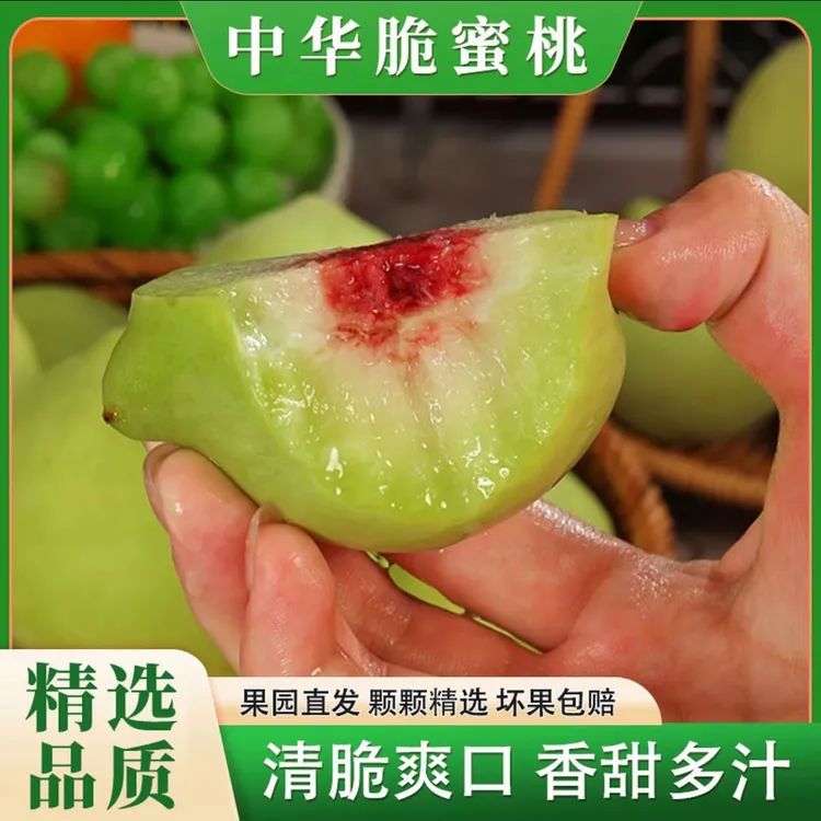 【中华脆蜜桃】青皮中华脆蜜桃脆甜现摘现发