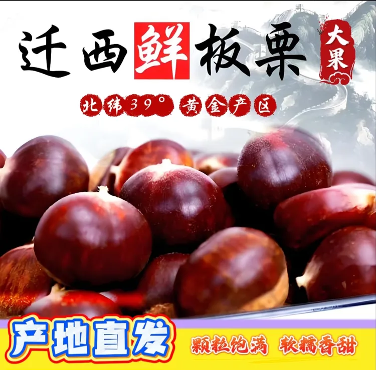 正宗迁西老树板栗