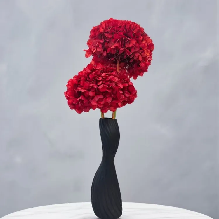 安哥拉红 绣球永生花真花 高级感欧式节庆礼品花 客厅装饰摆件 陈
