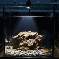 8.微景观造景背滤鱼缸20x15x20[鱼缸+灯+水泵+滤材+造景]