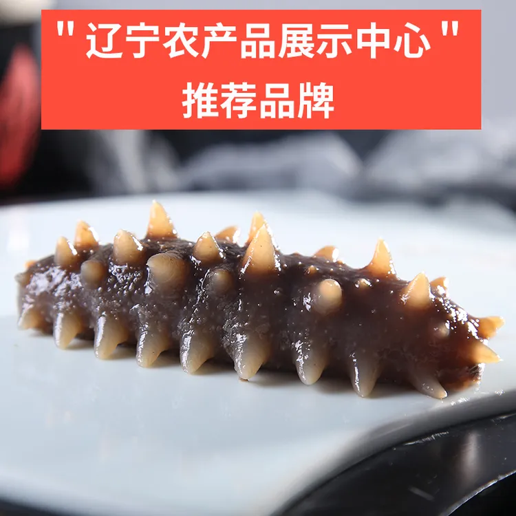 大连辽宗参即食海参水发国标500g10头