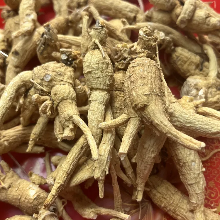 潮汕燕姐 足龄干林下参 煮水 +煲汤 +泡酒 清香醇绿色滋补佳品