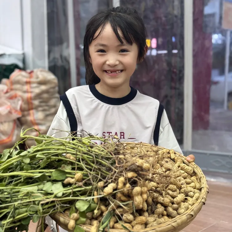 奇妙小主限量推荐的粉皮鲜湿花生蒸煮1斤3斤5斤