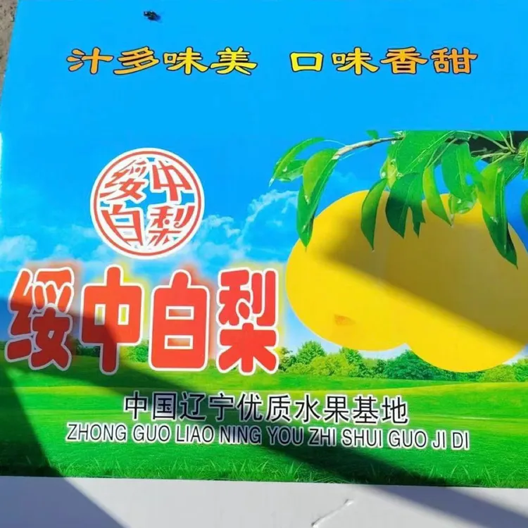 绥中白梨礼盒装脆甜多汁