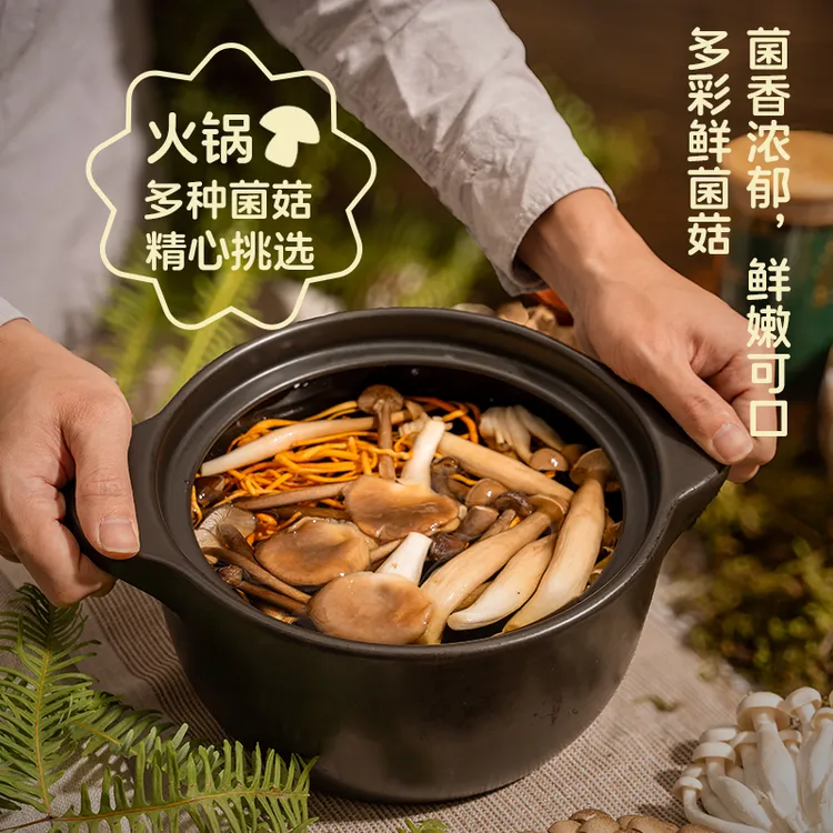 悟空小将新鲜野生菌蘑菇组合牛肝菌鸡枞家庭菌火锅