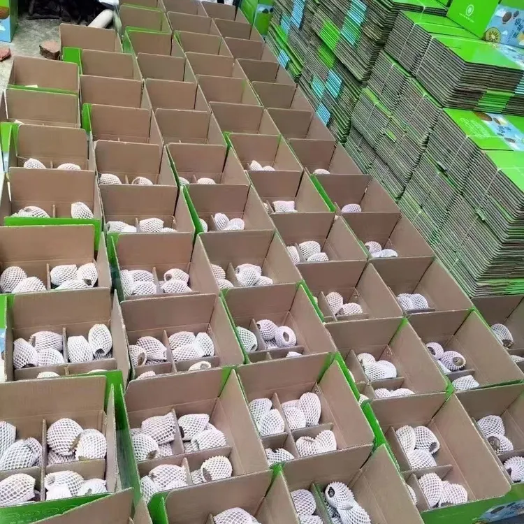 眉县徐香猕猴桃酸甜刚刚好