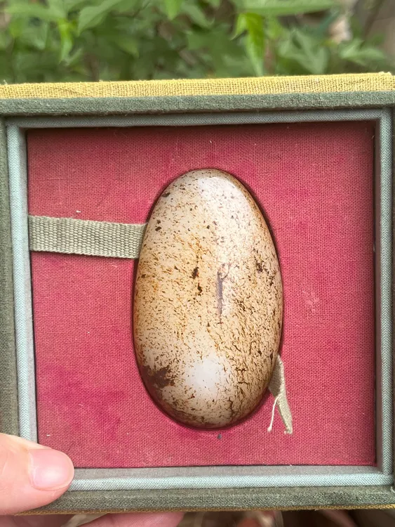 【底价已开价】116.3克和田玉油库料手把件图文026