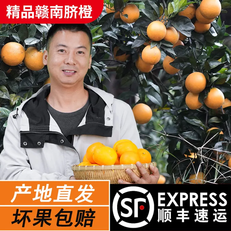 顺丰发货正宗赣南脐橙华农兄弟水果整箱应季水果江西赣南手剥橙