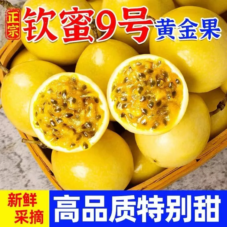 【现货速发】广西钦蜜9号黄金百香果新鲜热带水果现摘现发香甜多汁