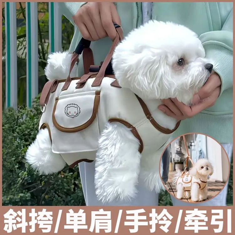 宠物狗狗小型犬猫咪便携可斜跨手提包单肩包宠物外带包卡通背包HR
