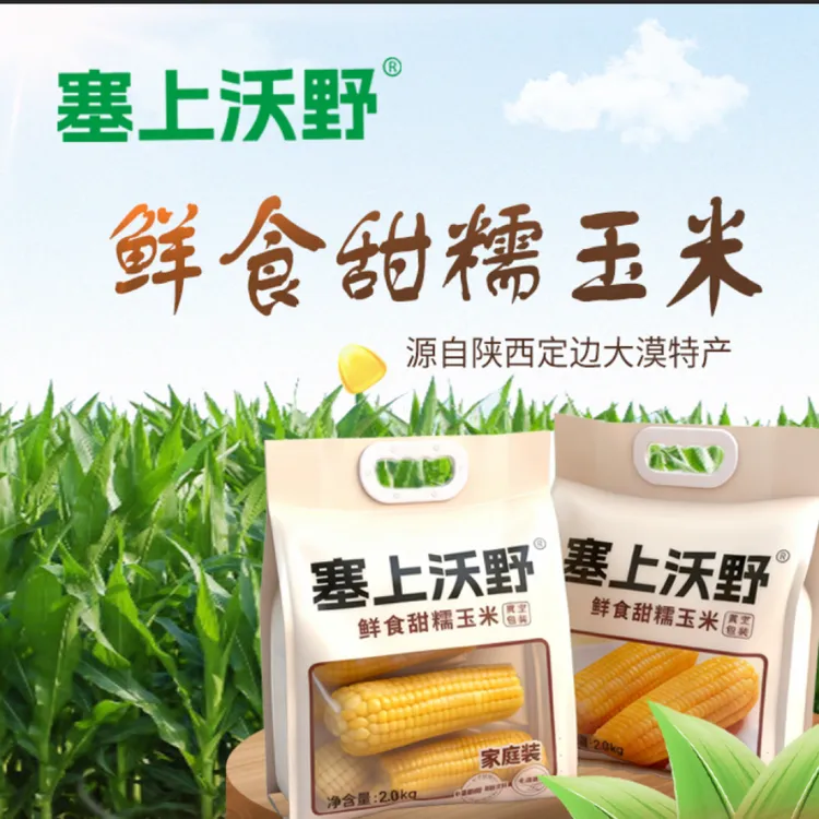 2025年北纬37度陕北头茬新玉米软糯香甜饱腹代餐粗粮