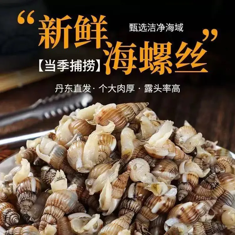 [哇塞；呱呱滴东港海锥  中大号]保肥保活海瓜子，450粒；呱呱滴！