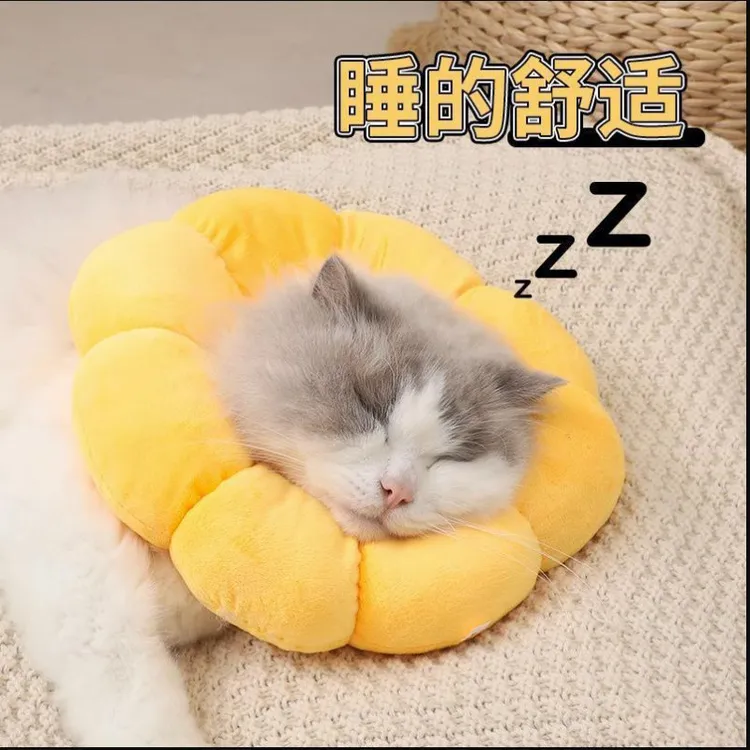 伊丽莎白圈太阳花猫项圈防舔除跳蚤猫咪脖圈颈圈头套狗宠物用品