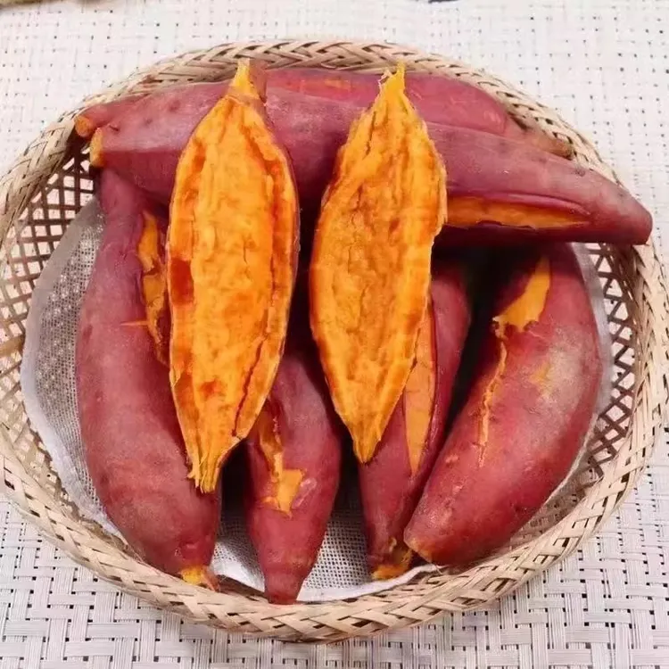 【团】西瓜红蜜薯糖心流油番薯新鲜现挖蜜薯应季农家自种地瓜整箱