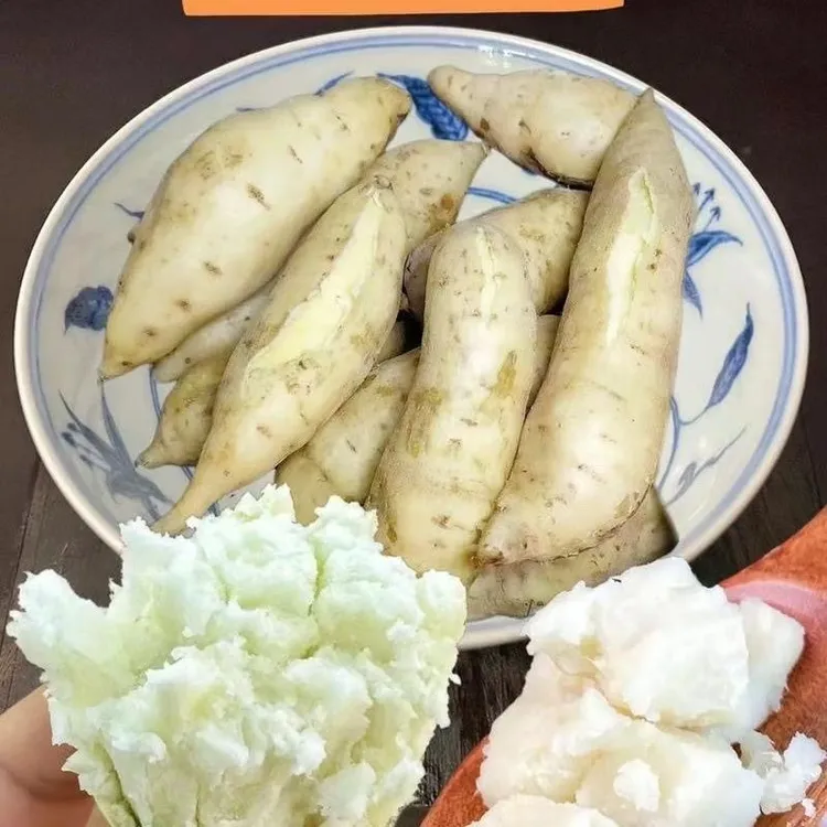 新鲜现挖黄皮白心牛奶人参薯自家种植