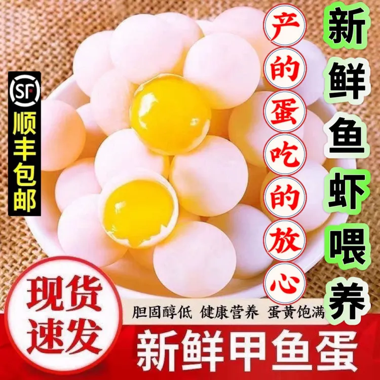 100枚送20枚农家新鲜食用甲鱼蛋宝宝辅食营养美味【送菜谱送料包】