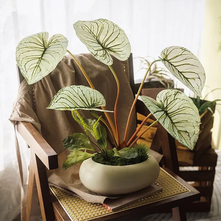 海虹景品仿真绿植彩芋叶高端轻奢高级感客厅楼梯下造景海芋假热植