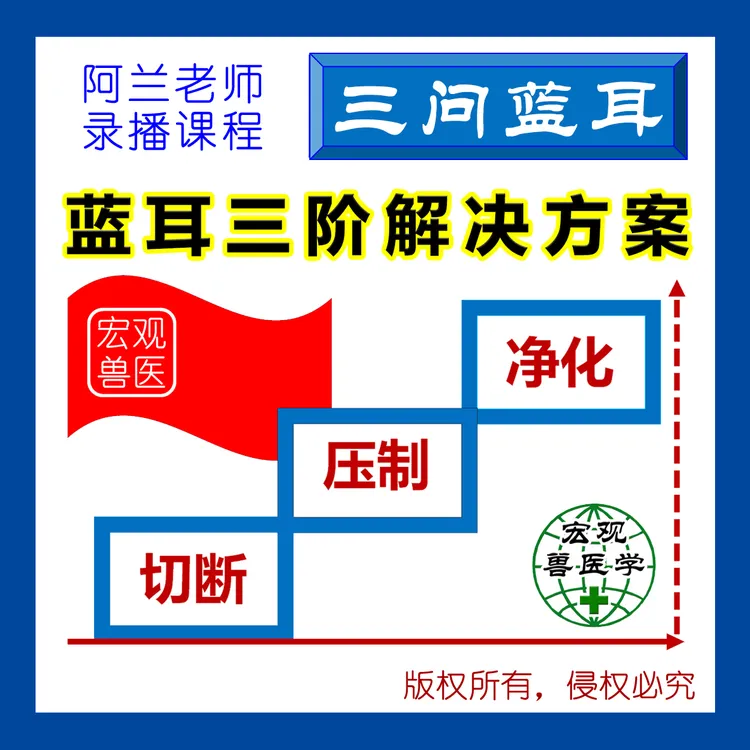 三问蓝耳·三阶解决方案