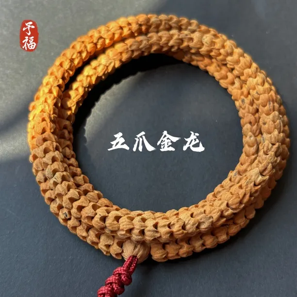 【五爪金龙】精选籽热振红肉柏香籽精工雕刻五爪金龙高油高密