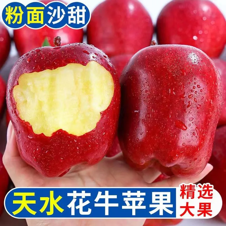 【坏果包赔】甘肃花牛苹果香甜多汁当季苹果新鲜应季面苹果