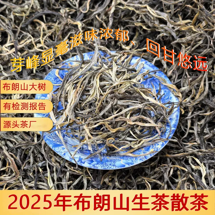 2025年新茶布朗山（苦茶）生茶正宗云南普洱茶头春头采源头茶叶