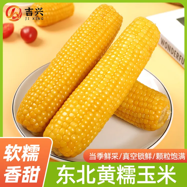 【试吃6根】头茬东北粘苞米香糯粗粮真空包装黄糯玉米商品图
