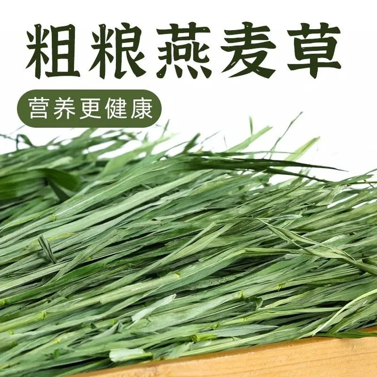 头茬烘干燕麦草兔子龙猫猪主食干草饲料