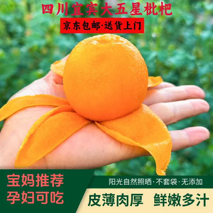 【京东包邮】四川大五星枇杷现摘现发孕妇水果应季枇杷皮薄多汁多肉