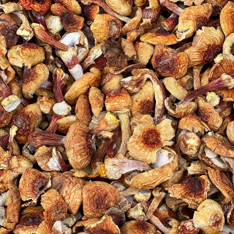 精选大朵云南姬松茸干货无硫菌菇煲汤食材特产