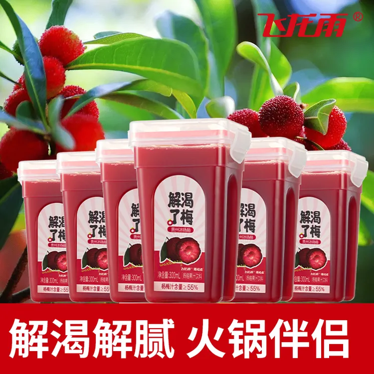 飞龙雨原榨杨梅汁贵州冰杨梅 果汁饮品 0脂肪好喝 解渴了梅6瓶
