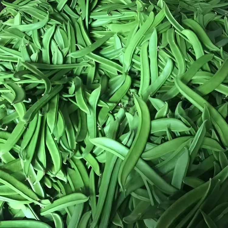 江西农家自种当季时令蔬菜新鲜现摘刀豆刀把豆剁椒原料大刀豆腌制