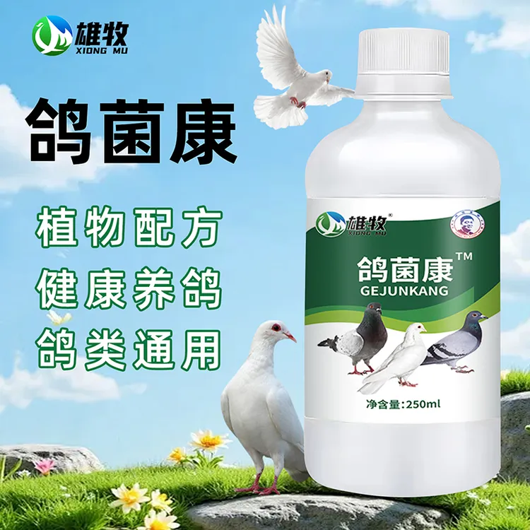 【雄牧】鸽菌康250ml鸽子肉鸽赛鸽专用植物提取厂家直销正品保障