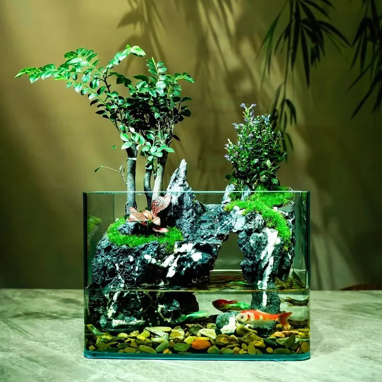 方缸小叶紫檀苔藓微景观生态瓶鱼缸造景办公室桌面绿植创意摆件