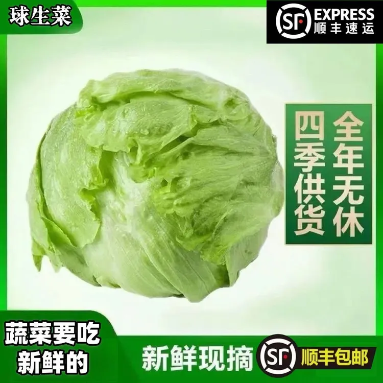 【顺丰冷链】新鲜球生菜沙拉生吃轻食汉堡烤肉火锅农场直发