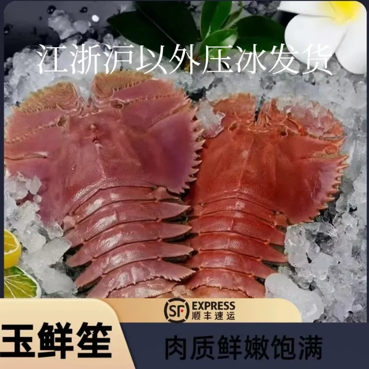 【冰鲜】东海台州鲜香海鲜琵琶虾