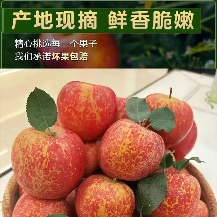 云南昭通红富士糖心丑苹果脆甜多汁新鲜美味水果