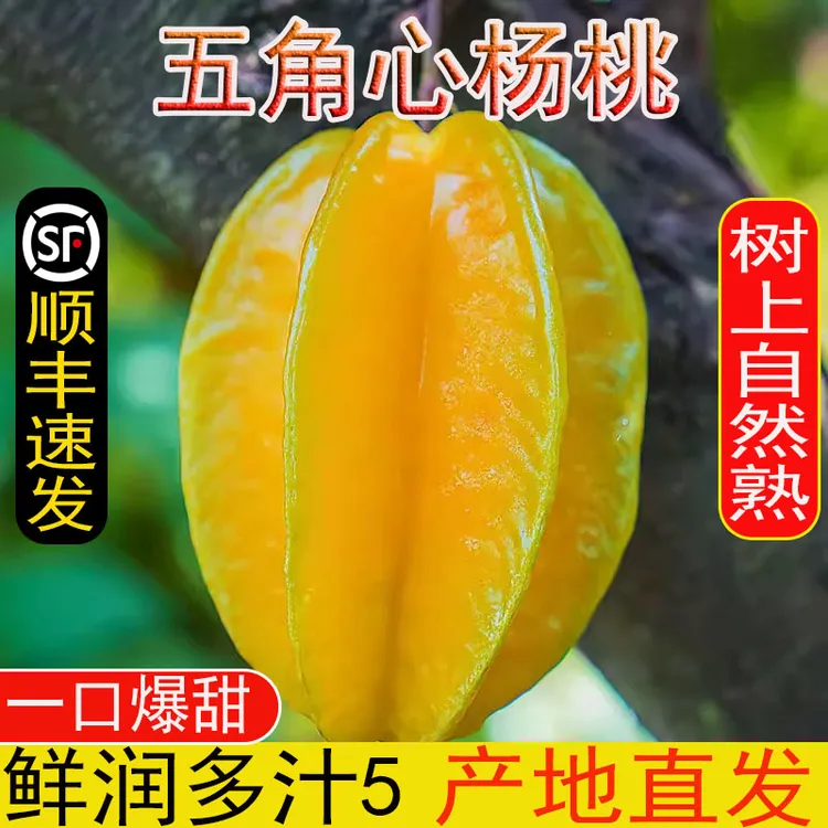 【顺丰】福建漳州鲜杨桃水果新鲜现摘现发大果当季时令新鲜水果整箱