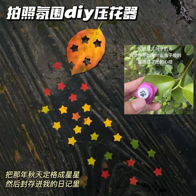 手工DIY压花器树叶拍照氛围创意高颜值学生手账打孔机压纸器装饰