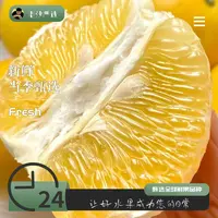 【老沙严选】源心山奈当季新鲜葡萄柚 礼盒装8斤左右