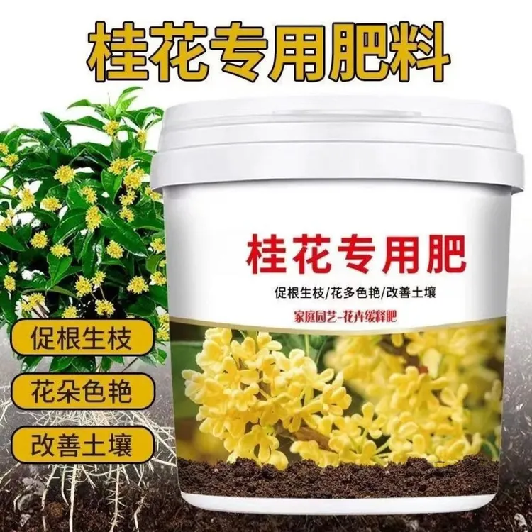 桂花树专用肥料家庭园艺四季通用促花养花花营养液