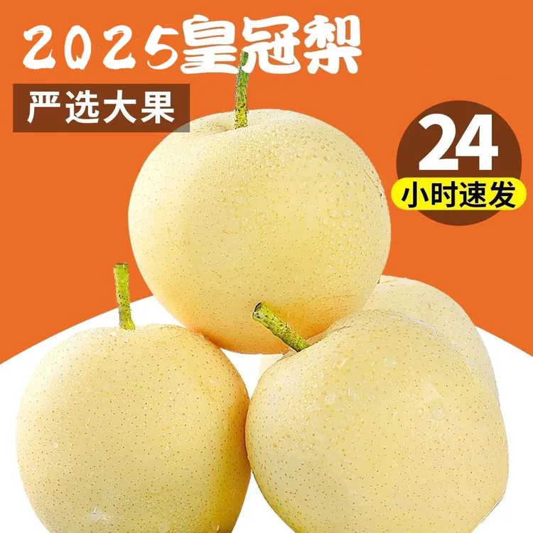 皇冠梨皮薄肉嫩现摘皇冠梨脆甜多汁果园直发4.5-5斤装白皮皇冠梨
