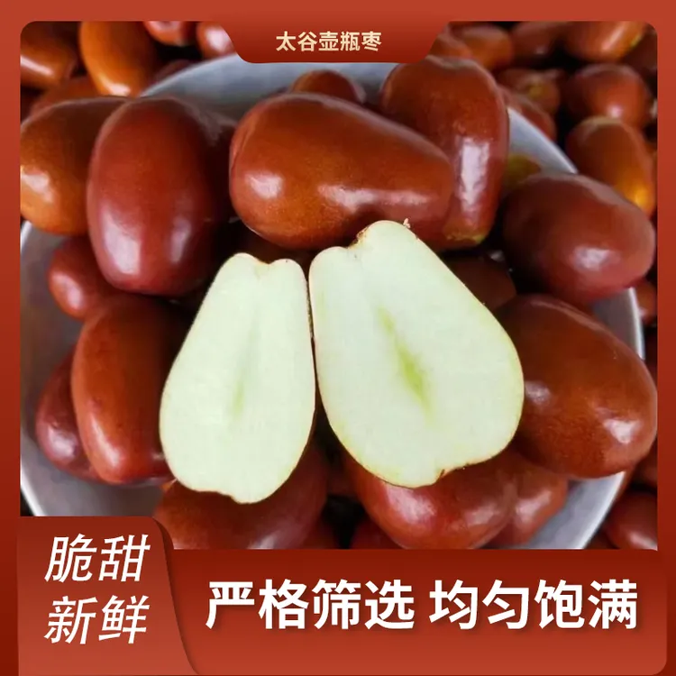 头茬太谷壶瓶枣 脆枣 鲜枣 新鲜现摘 脆甜大枣 中秋节 送礼礼盒
