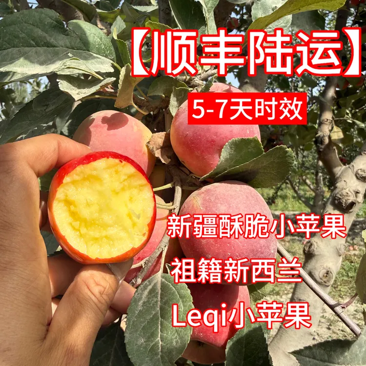 【顺丰陆运】5-7天时效 新疆酥脆小苹果火箭苹果LQ小苹果酥脆香甜